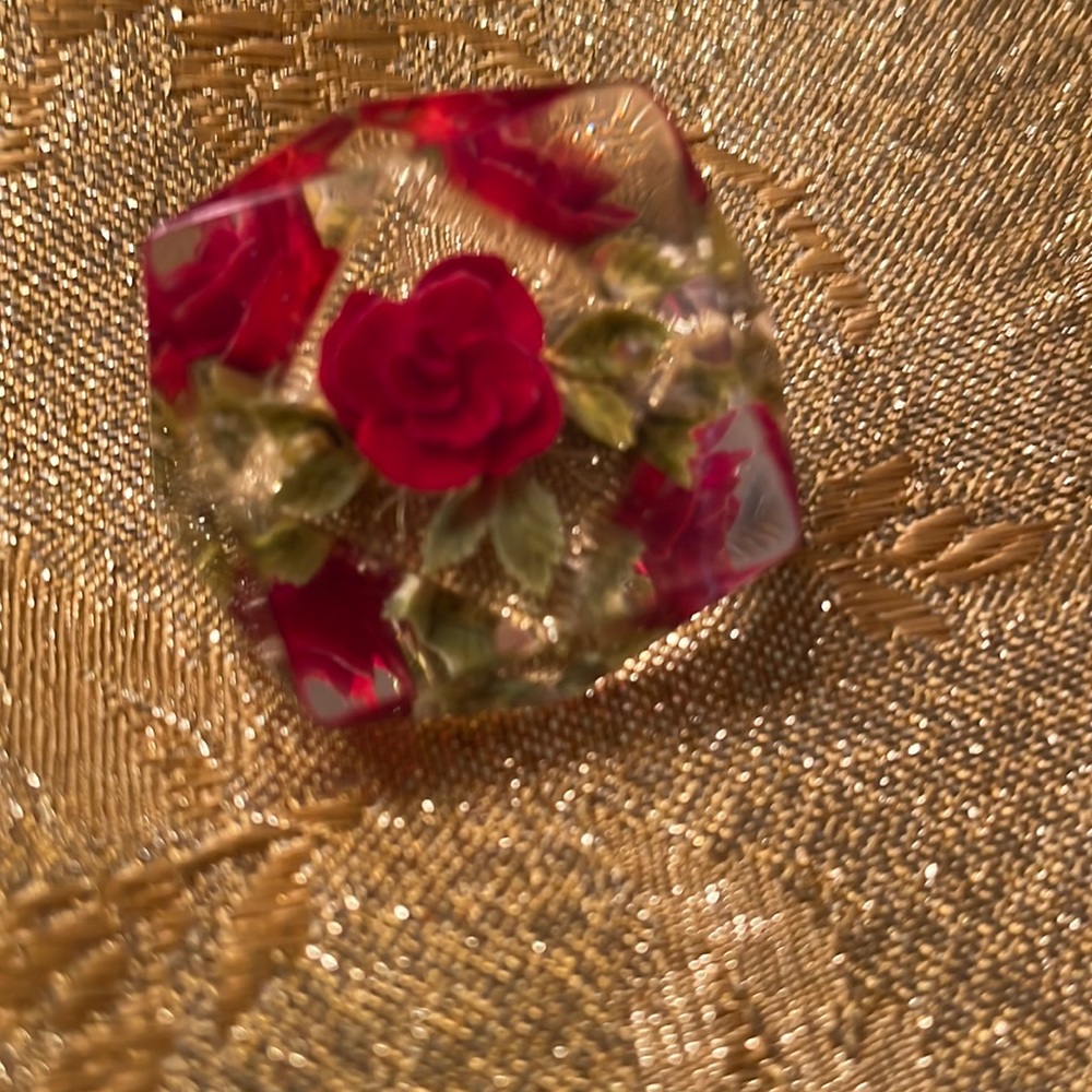Lucite brooches two pins stunning floral reverse painted French English Lucite.